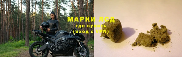 a pvp Алзамай