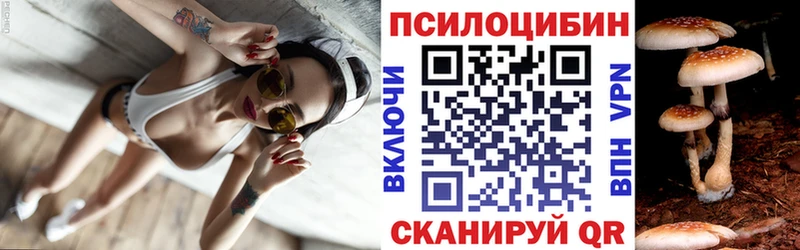 Псилоцибиновые грибы GOLDEN TEACHER  Майкоп 